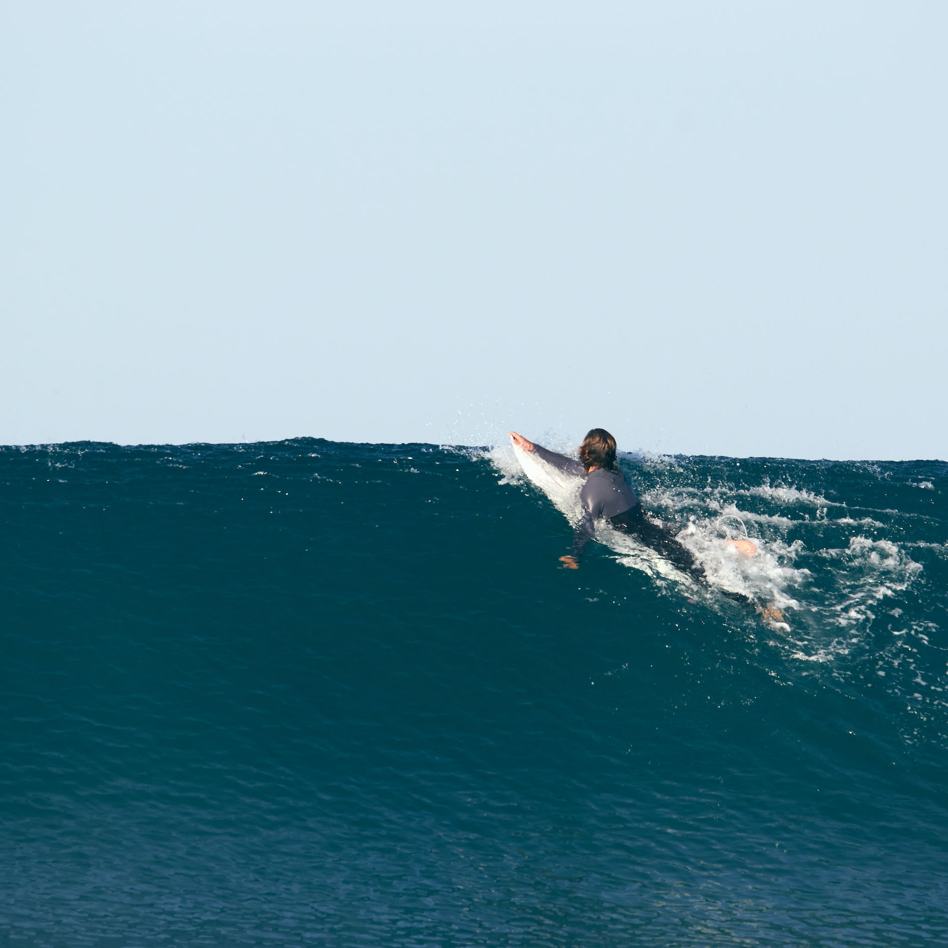 What is surfing about? Van der Waal 2023 ethos