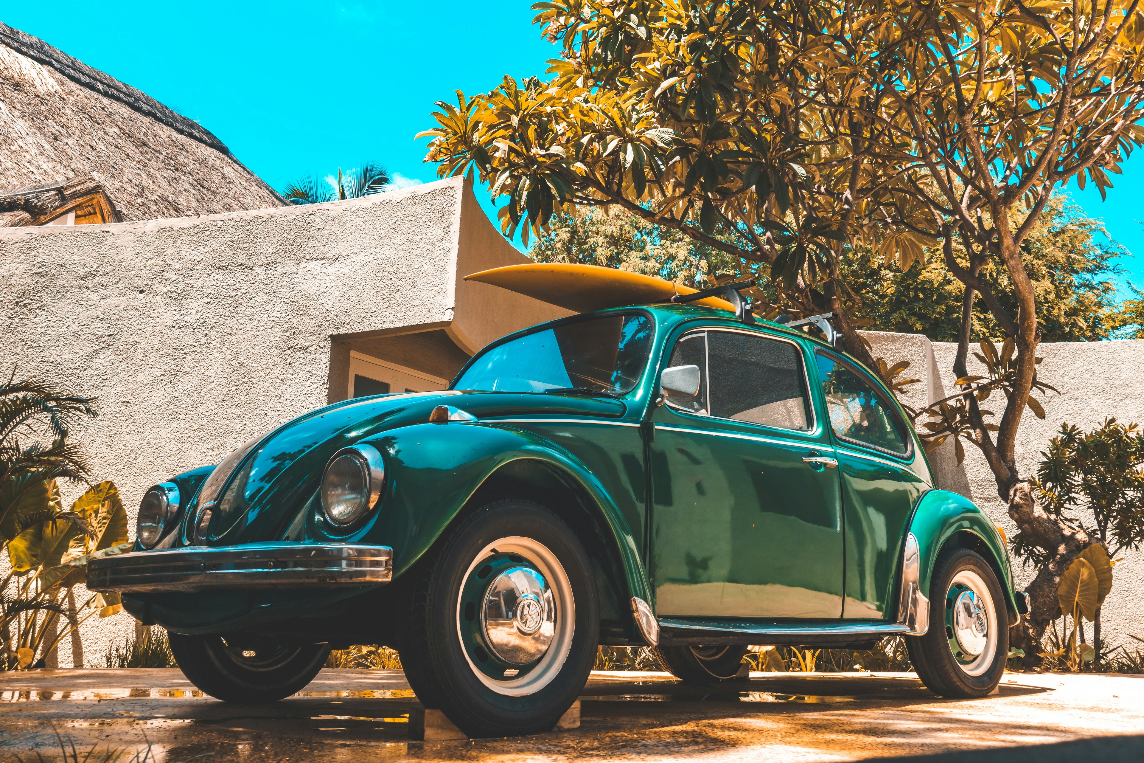 A 1979 Volkswagen Beetle made of wax